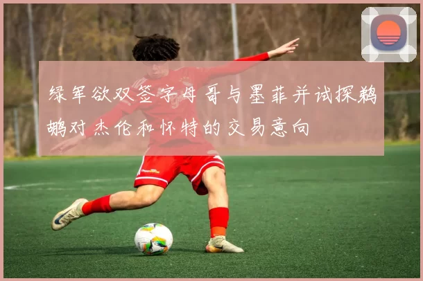 绿军欲双签字母哥与墨菲并试探鹈鹕对杰伦和怀特的交易意向